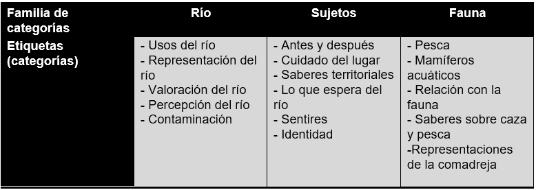 Agrupamiento de las etiquetas categorías en familia de categorías como primer paso en la etapa de codificación axial